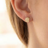 GOLD DIPPED CLAM SHELL STUD EARRINGS