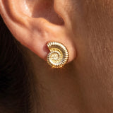 GOLD SHELL STUD EARRINGS